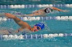 Swimming vs Bentley  Wheaton College Swimming vs Bentley. - Photo By: KEITH NORDSTROM : Wheaton, Swimming, Bentley